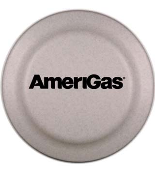 AG1-45920 - 9" Flyer
